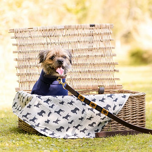 Baskest - White Diamond